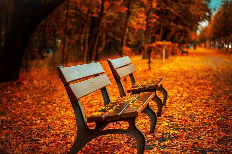 Nature Walk